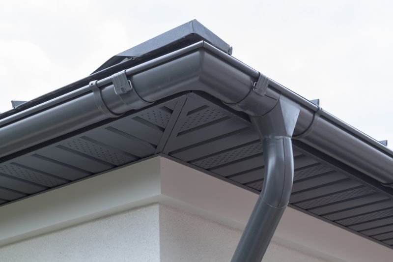 Gutter Maintenance Access